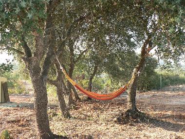 Holiday House in Moncarapacho (Algarve) or holiday homes and vacation rentals