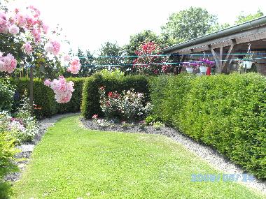Holiday Apartment in Grossheide (Nordsee-Festland / Ostfriesland) or holiday homes and vacation rentals