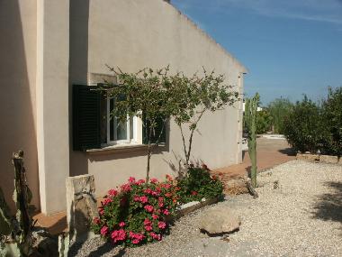 Holiday House in Llucmajor (Mallorca) or holiday homes and vacation rentals