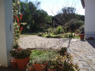 Vue du patio