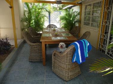 Holiday Apartment in Willemstad (Curacao) or holiday homes and vacation rentals