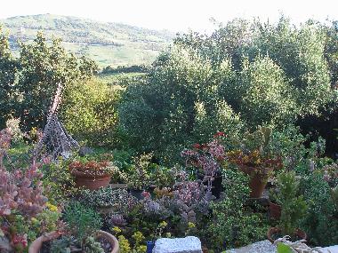 Holiday House in Santa Lucia (Cdiz) or holiday homes and vacation rentals