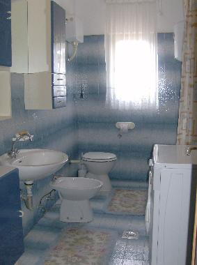 Holiday House in Sv. Lovrec (Istarska) or holiday homes and vacation rentals