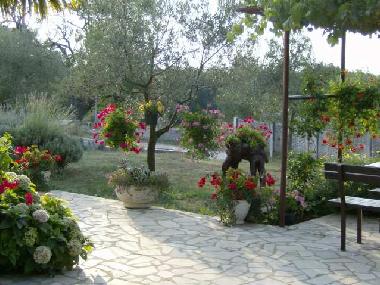 Holiday House in Sv. Lovrec (Istarska) or holiday homes and vacation rentals