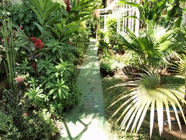 Holiday House in Pointe aux Canonniers (Grand Baie) or holiday homes and vacation rentals