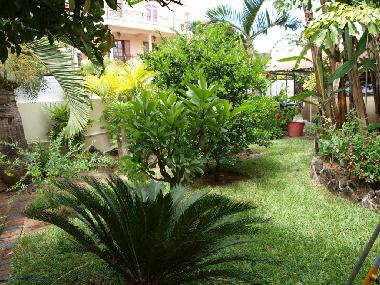 Holiday House in Pointe aux Canonniers (Grand Baie) or holiday homes and vacation rentals