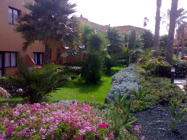 Holiday Apartment in Corralejo (Fuerteventura) or holiday homes and vacation rentals