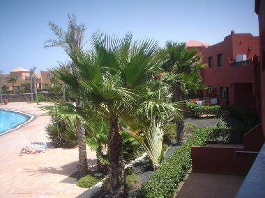 Holiday Apartment in Corralejo (Fuerteventura) or holiday homes and vacation rentals