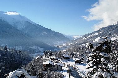 Chalet in Fiesch (Aletsch) or holiday homes and vacation rentals