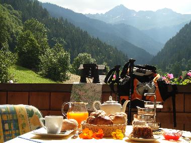 Holiday Apartment in Silbertal (Bludenz-Bregenzer Wald) or holiday homes and vacation rentals