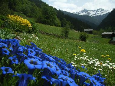 Holiday Apartment in Silbertal (Bludenz-Bregenzer Wald) or holiday homes and vacation rentals