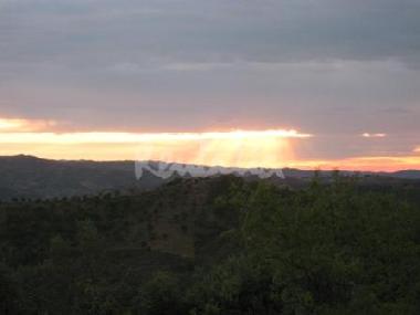 Holiday House in S�o Br�s de Alportel (Algarve) or holiday homes and vacation rentals