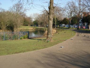 Lake