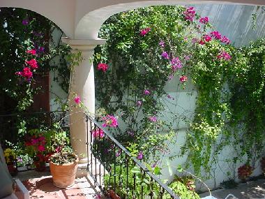 Holiday Apartment in PLAYA DEL CARMEN (Quintana Roo) or holiday homes and vacation rentals
