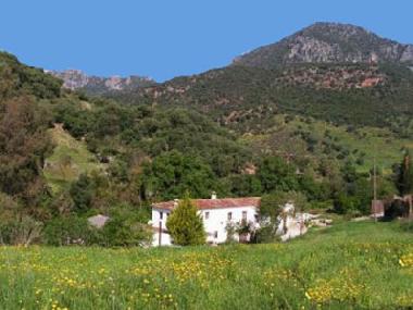 Holiday House in Grazalema Park (Cdiz) or holiday homes and vacation rentals