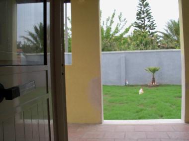 Holiday House in Torre San Giovanni (Ugento) (Lecce) or holiday homes and vacation rentals