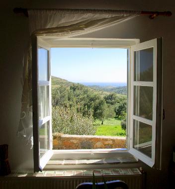 View from the living room