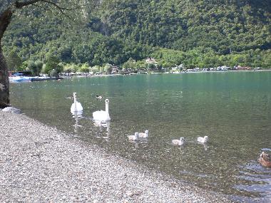 Chalet in Porlezza (Como) or holiday homes and vacation rentals