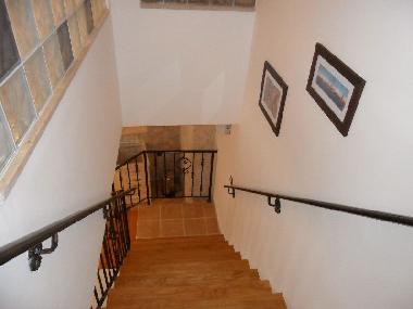 Holiday House in FaZANA (Istarska) or holiday homes and vacation rentals