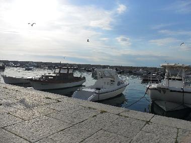 Holiday House in FaZANA (Istarska) or holiday homes and vacation rentals