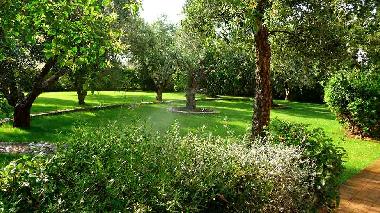 Holiday House in Capalbio (Grosseto) or holiday homes and vacation rentals