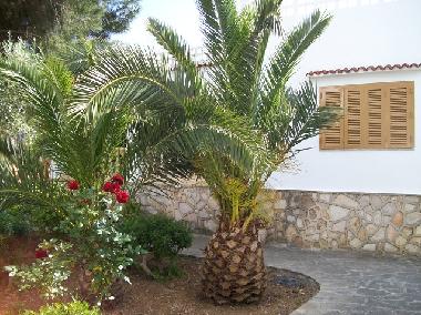 Holiday House in Cala Santanyi (Mallorca) or holiday homes and vacation rentals