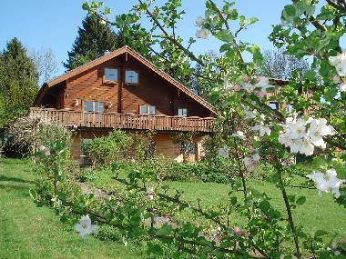 Holiday Apartment in Krummsee (Holsteinische Schweiz) or holiday homes and vacation rentals