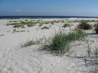 The white sand, 150 meters from the house