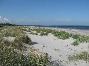 Kilometer after kilometer with white sand and blue water