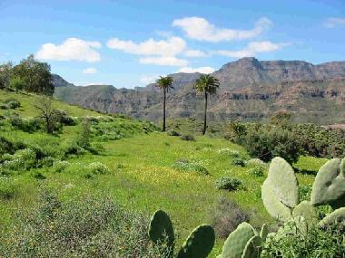 Holiday House in Santa Lucia de Tirajana (Gran Canaria) or holiday homes and vacation rentals