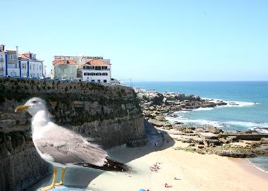 Holiday Apartment in Ericeira (Grande Lisboa) or holiday homes and vacation rentals