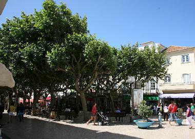 Holiday Apartment in Ericeira (Grande Lisboa) or holiday homes and vacation rentals