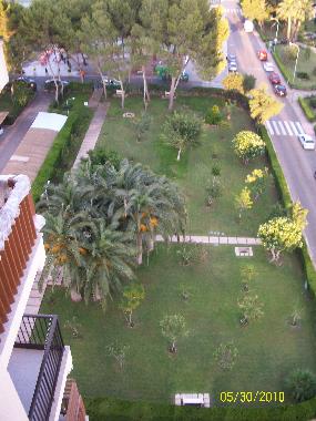 Holiday Apartment in dehesa de campo amor (Alicante / Alacant) or holiday homes and vacation rentals