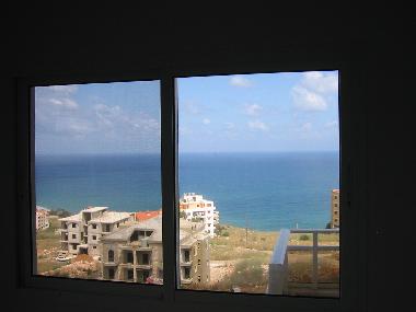 View from Dinining Room -while sitting on the sofa