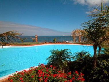 Holiday Apartment in Palm Mar (Teneriffa) or holiday homes and vacation rentals