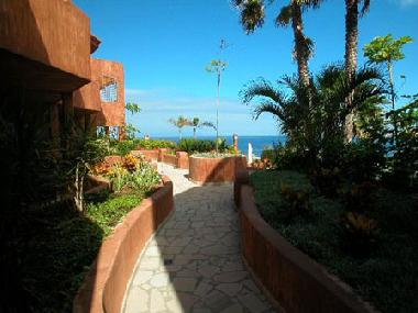 Holiday Apartment in Palm Mar (Teneriffa) or holiday homes and vacation rentals