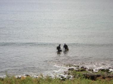 Holiday Apartment in Palm Mar (Teneriffa) or holiday homes and vacation rentals