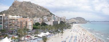 Holiday Apartment in ALICANTE (Alicante / Alacant) or holiday homes and vacation rentals