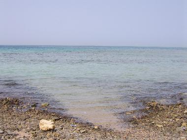 Local Beach