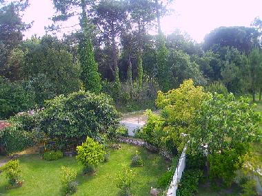 Holiday House in Obidos (Grande Lisboa) or holiday homes and vacation rentals