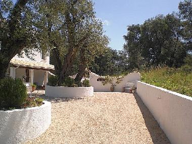 Holiday House in Arillas  (Kerkyra) or holiday homes and vacation rentals