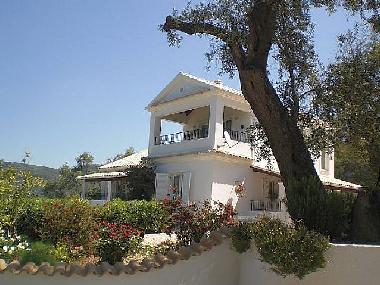 Holiday House in Arillas  (Kerkyra) or holiday homes and vacation rentals
