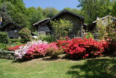 Holiday House in Miazzina (Verbano-Cusio-Ossola) or holiday homes and vacation rentals