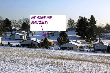 Holiday House in 54550 (Eifel - Ahr) or holiday homes and vacation rentals