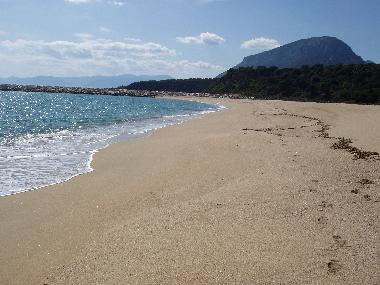 Holiday Apartment in Dorgali (Nuoro) or holiday homes and vacation rentals