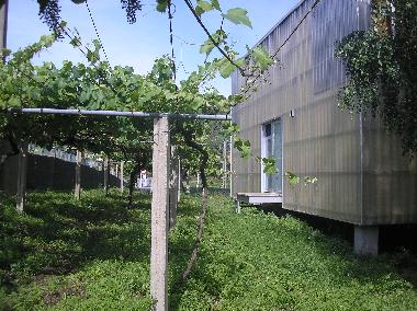 Holiday House in Padrin (Pontevedra) or holiday homes and vacation rentals