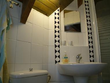 The bathroom with toilet, wash basin and shower.