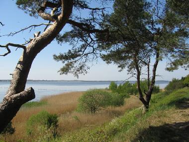 The Peenestrom, from the riverside footpath.