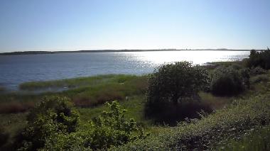 Late afternoon by the river.