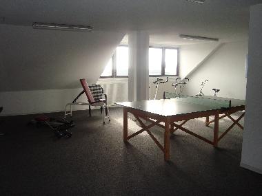 Holiday Apartment in Bsum (Nordsee-Festland) or holiday homes and vacation rentals